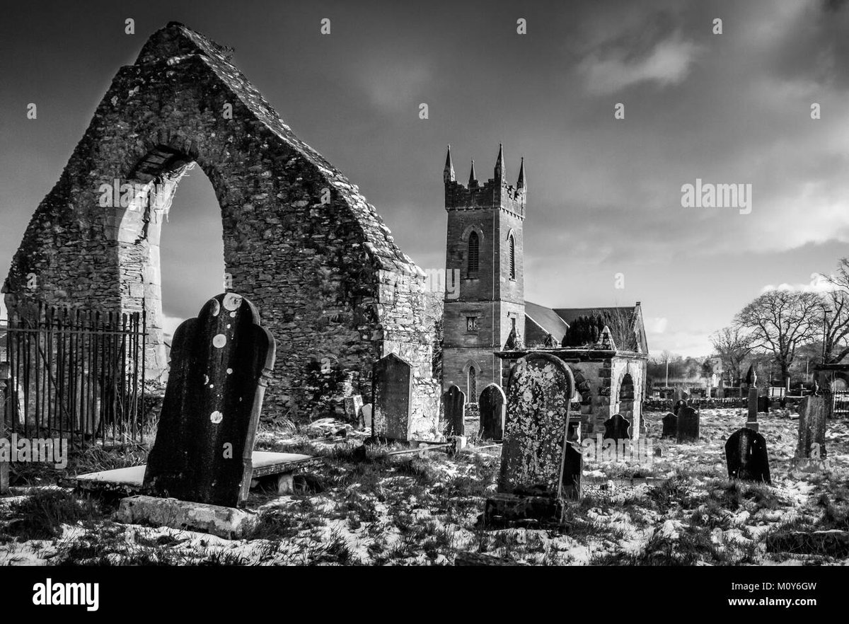 How Old Is Nico Robin In Re Zero Explained Clearly